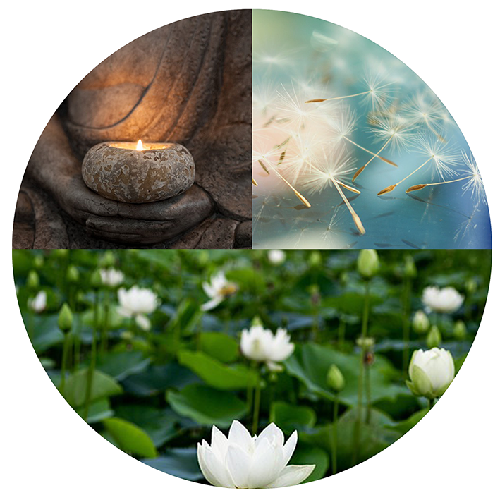 Conocimiento que ayuda