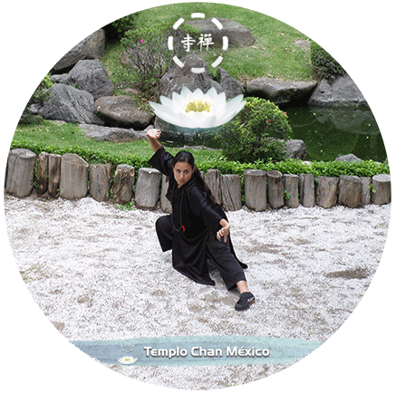 Foto propiedad del TCM 03