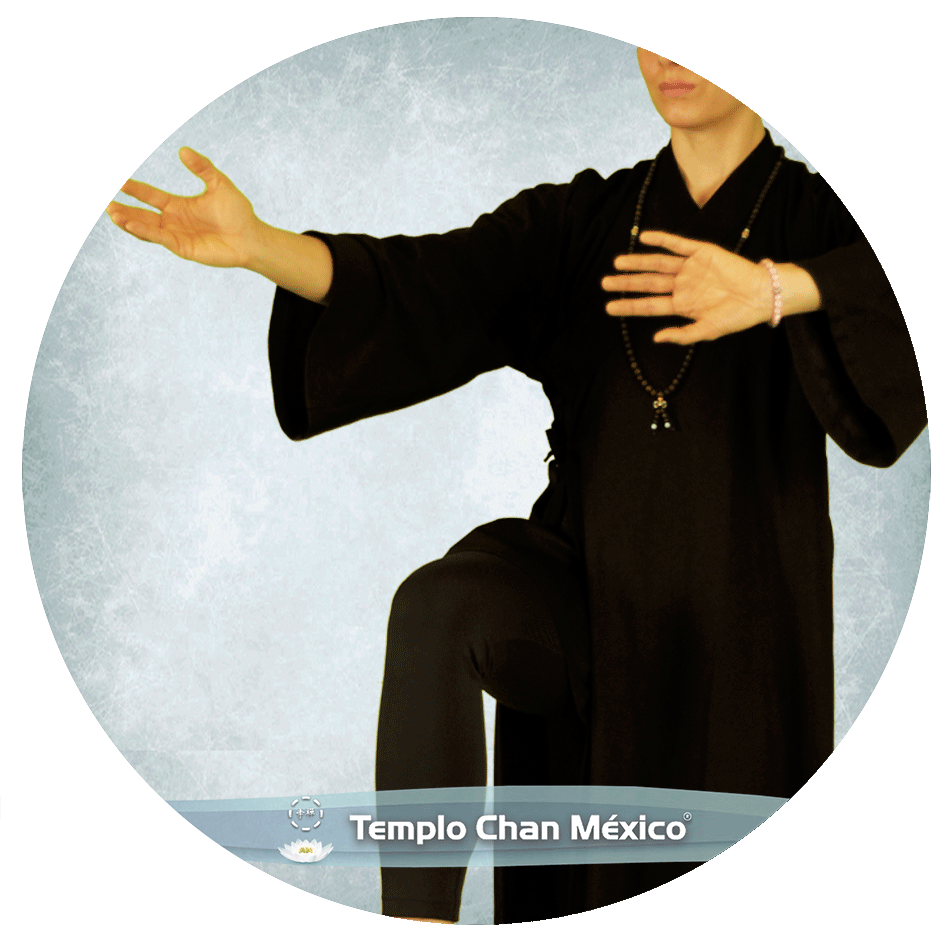 Practicando Rou Quan Foto Propiedad del Templo Chan México